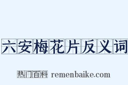 六安梅花片反义词是什么意思的图片